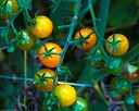 NK2014-08-28_10704.jpg