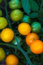 NK2014-08-28_10705.jpg