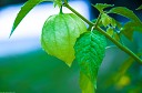 NK2014-08-28_10706.jpg