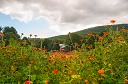 NK2014-08-28_10709.jpg