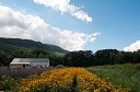 NK2014-08-28_10713.jpg