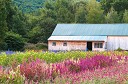 NK2014-08-28_10714.jpg