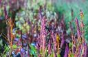 NK2014-08-28_10718.jpg