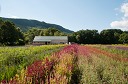 NK2014-08-28_10733.jpg