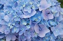 NK2014-08-28_10739.jpg