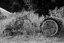 NK2014-08-28_10744.jpg