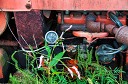 NK2014-08-28_10749.jpg