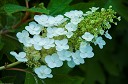 NK2014-08-28_10751.jpg