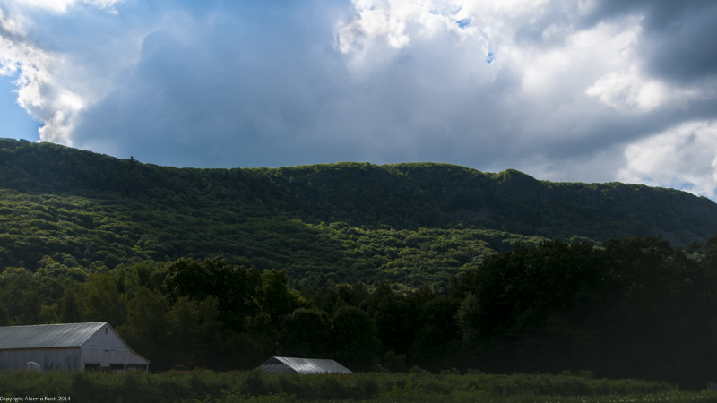 nk2014-08-28_10693.jpg