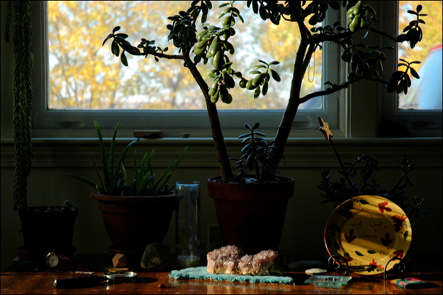 nk2007.11.18_6.jpg