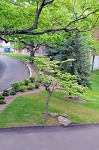 nk2009.05.16_24