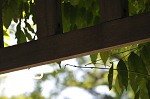nk2009.05.22_61