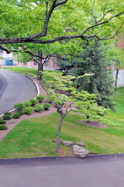 nk2009.05.16_24.jpg