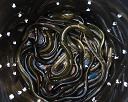NK2014-08-04_10603.jpg