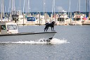 NK2014-08-04_10618.jpg