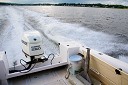 NK2014-08-04_10626.jpg