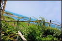 nk2007.09.03_33