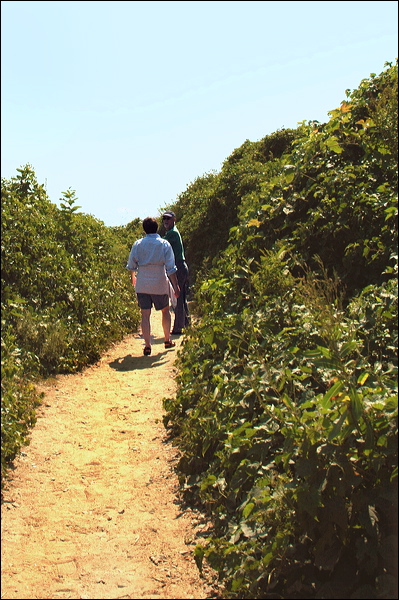 nk2007.09.03_29.jpg