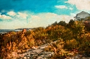 NK2013-10-17_7346.jpg