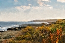 NK2013-10-17_7357.jpg