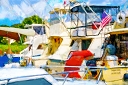NK2014-08-04_10601a.jpg