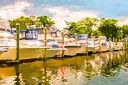 NK2014-08-04_10608.jpg