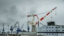NK2014-04-26_8565-1.jpg