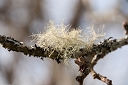 NK2014-04-28_8667-43.jpg