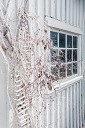 NK2014-04-28_8668-44.jpg
