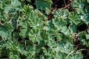 NK2014-04-28_8674-46.jpg