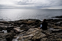 NK2014-04-28_8682-48.jpg