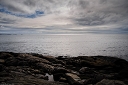 NK2014-04-28_8684-49.jpg