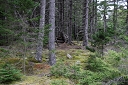 NK2014-04-28_8693-53.jpg