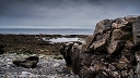 NK2014-04-28_8703-56.jpg