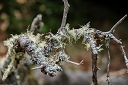 NK2014-04-29_8739-74.jpg