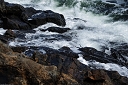 NK2014-04-29_8760-84.jpg