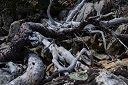 NK2014-04-29_8764-87.jpg