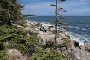 NK2014-04-29_8768-88.jpg