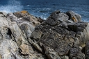 NK2014-04-29_8777-91.jpg