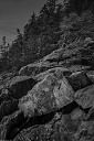NK2014-04-29_8781-93.jpg