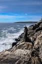 NK2014-04-29_8782-94.jpg