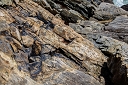 NK2014-04-29_8787-97.jpg
