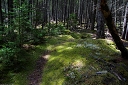 NK2014-04-29_8788-98.jpg
