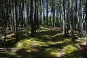 NK2014-04-29_8790-100.jpg