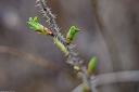 NK2014-04-30_8808-106.jpg