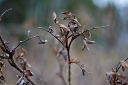 NK2014-04-30_8809-107.jpg