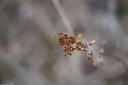 NK2014-04-30_8810-108.jpg