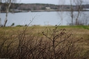 NK2014-04-30_8819-112.jpg