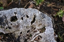 NK2014-04-30_8822-114.jpg