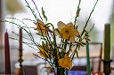 NK2014-04-30_8846-122.jpg
